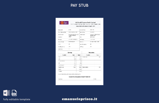modello di busta paga AU Small Finance Bank in stile verificato